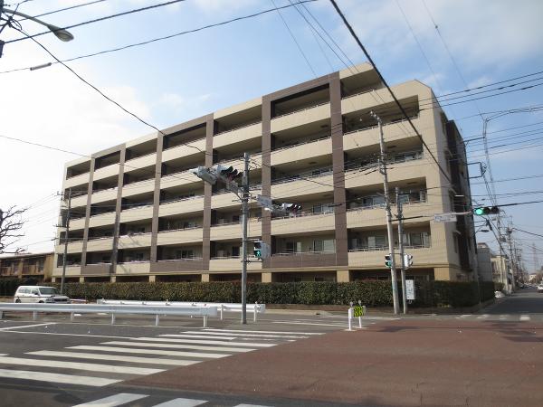 ゼファー武蔵浦和グランリブス