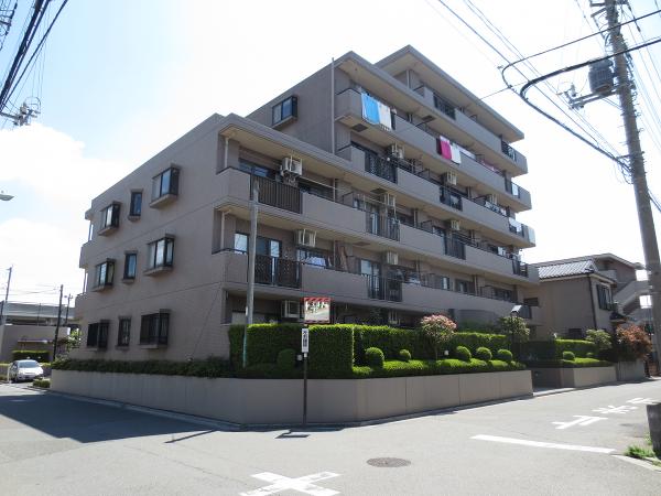 セラード武蔵浦和